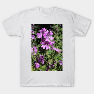 Mallow Flowers T-Shirt